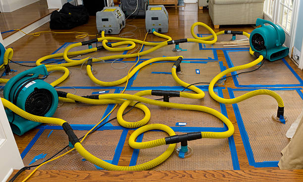 Professional Flood Damage Restoration technician working in Britt, MN